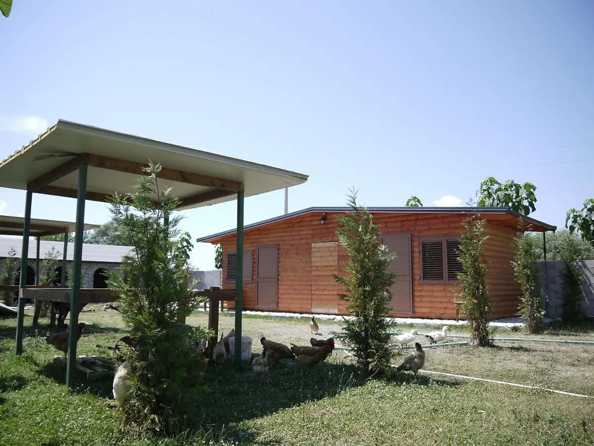 Campsite Windmill Shkodra Gesthouse Camping & Grill Albania