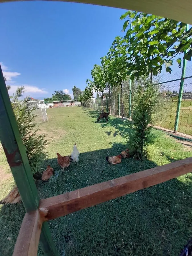Windmill Shkodra Gesthouse Camping & Grill Campingplatz