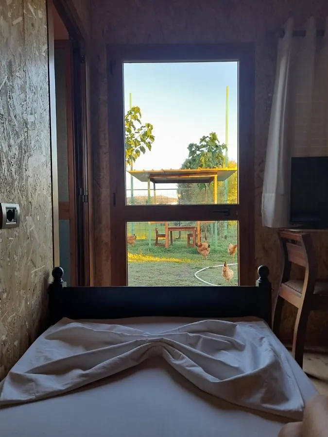 Windmill Shkodra Gesthouse Camping & Grill