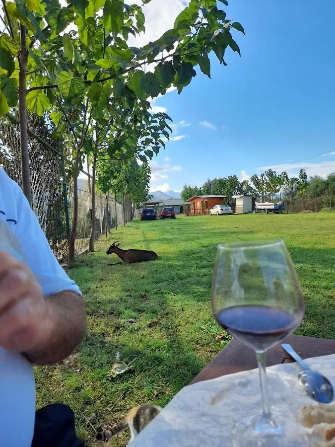 Windmill Shkodra Gesthouse Camping & Grill